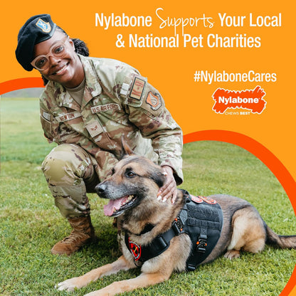 Nylabone Healthy Edibles Natural Puppy Chews Long Lasting Treats for Puppies, Roast Beef, Apple & Bacon Flavor, X-Small/Petite (3 Count)